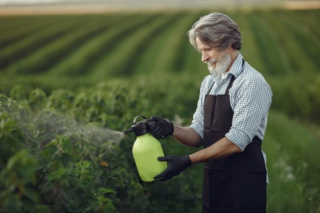 Residential Pest Control